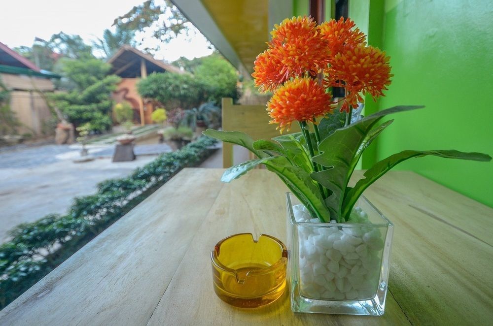 Butterfly Totem Guesthouse Puerto Princesa Extérieur photo